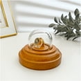 thumbnail image 2 of Plymor Miniature 1" x 1" Mini Glass Display Dome TINY Cloche (Oak Veneer Base), 2 of 2