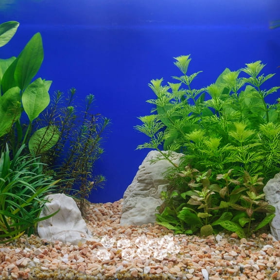 HOOWIFFY 1Pack White Decorative Aquarium Gravel Stones Easy Clean Fish Tank Substrate