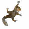 thumbnail image 3 of CafePress - Hang On Baby Rowdy Dark T Shirt - Men's Classic Cotton T-Shirts, 3 of 3