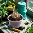 thumbnail image 6 of 20Packs Clear Nursery Pots Variety Pack, Transparent Plastic Plant Pots with Drainage Holes for Plants, Durable Seedling Pots Seed Starter Pots,3.5 in, 6 of 9