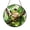 Acrylic 3.5 Inch, variant on Green Tree Frog Stained Glass Style Suncatcher Window Hanging, Tropical Branch Nature Art Decor, Garden Inspired Ornament for Home Accent