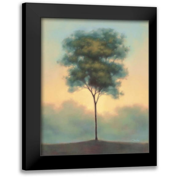 Gams, Darlou 12x14 Black Modern Framed Museum Art Print Titled - Solitude I