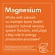 thumbnail image 5 of Supplement NOW Malato de Magnesio 1000 mg 180 comprimidos x 2, 5 of 8