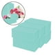 thumbnail image 4 of Paquete de 6 bloques de espuma floral Oasis para arreglos florales (23 x 11 x 7 cm), ideales para fiestas y manualidades. Verde, 4 of 9