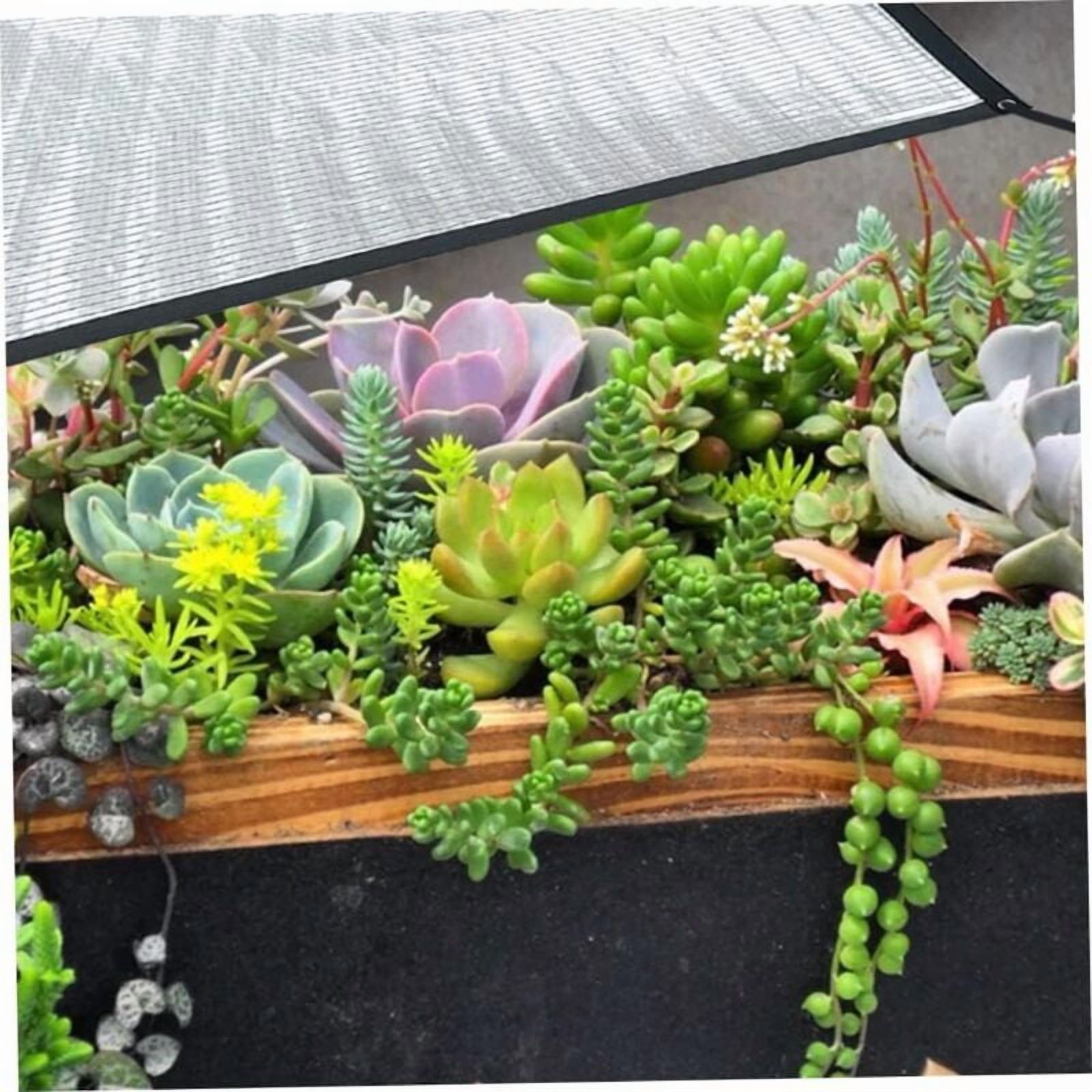 Sun Sail Shade Cloth Aluminum Foil Shade Net Aluminum Foil Shade Net Awning Cloth for Garden Patio Flower Plant UV Resistant 1x2m