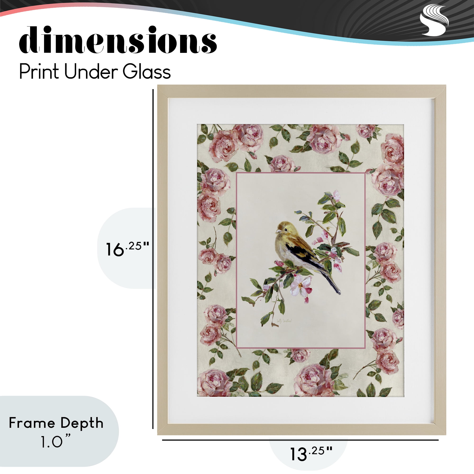 Stupell Industries Perched Bird with Dainty Roses Birch Framed Print Under Glass, design by Sally Swatland