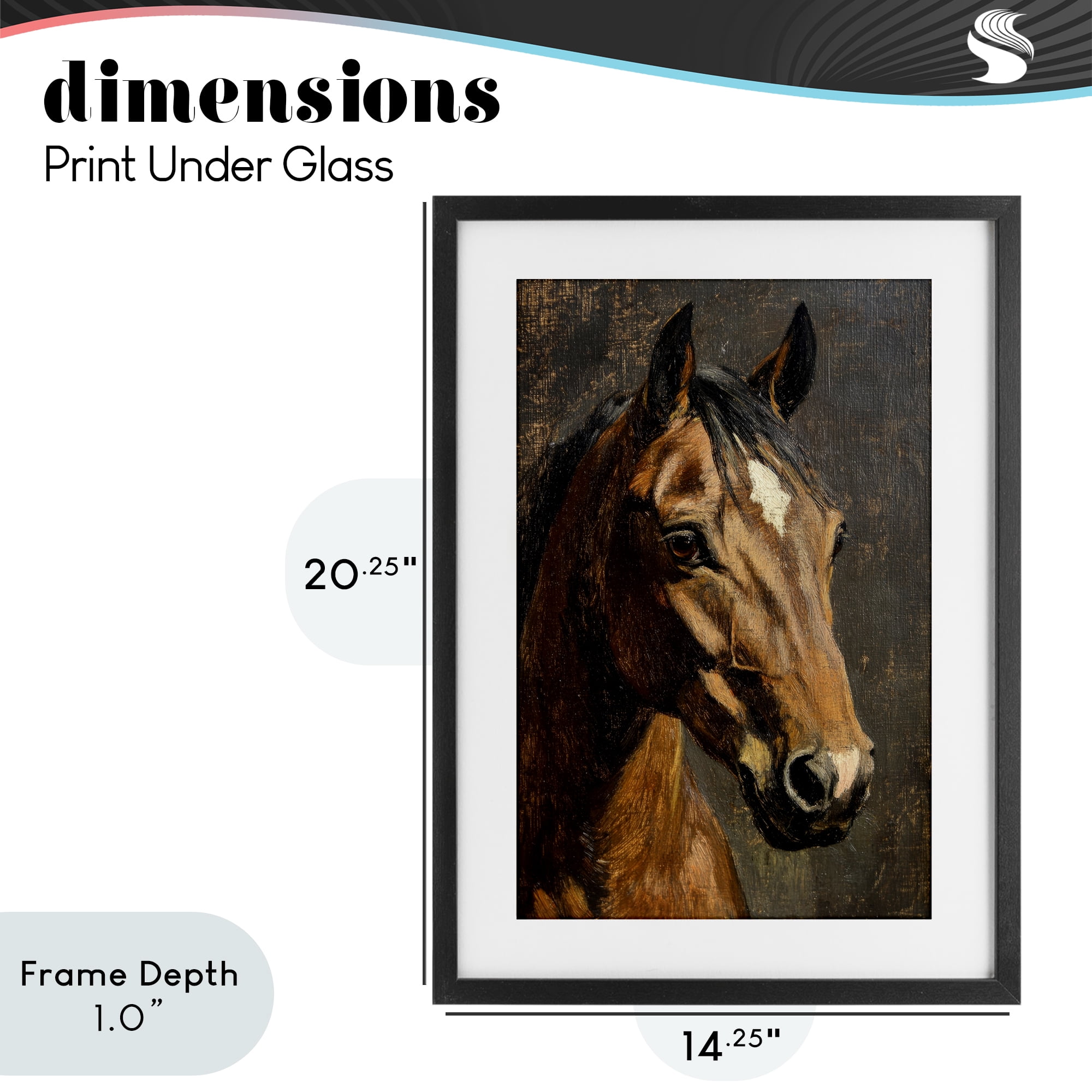 Stupell Industries Horse Portrait Study Black Framed Print Under Glass, design by Petal Prints Design