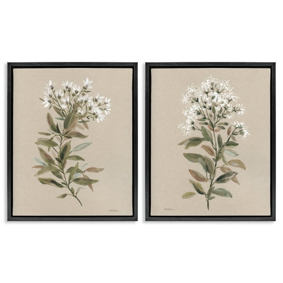 Stupell Industries Lovely White Floral Stem Plants & Flowers Painting Black Floater Framed Canvas Art Print Wall Art, 17 x 21, Set of 2