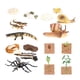 thumbnail image 1 of Juguetes de aprendizaje del ciclo de vida, accesorios didácticos, animales, plantas, figuras, juguetes Montessori Estilo B, 1 of 9