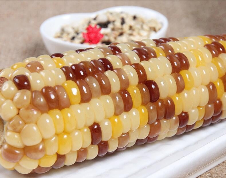 WATSON CORN - FRENCH Maïs cireux marbré biologique surgelé Watson