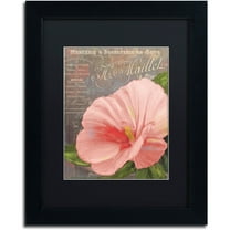 Trademark Fine Art "Peach Hibiscus" Canvas Art by Color Bakery Black Matte, Black Frame