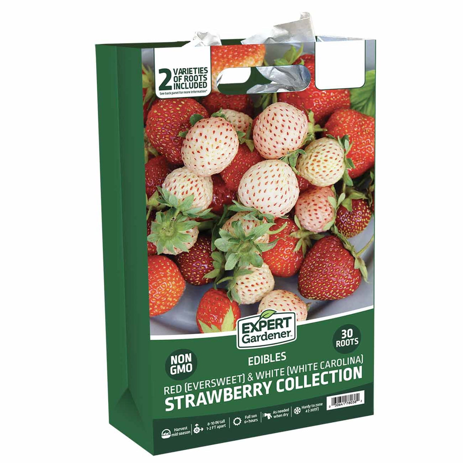 Van Zyverden Ever Bearing Strawberries Ever Sweet Set of 20 Plant