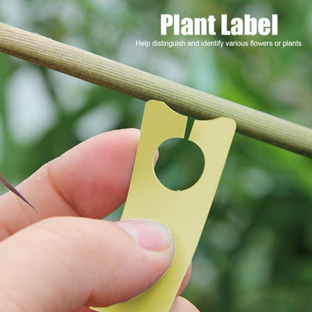 Fosa Plant Label Garden Accessories 350pcs Fruit Flower Tree Name Tag Marker Supplies Canada Fosa Plant Label Garden Accessories, Garden Supplies Names
