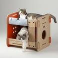 thumbnail image 4 of New Age Pet® Purr and Play Cat Bunk Bed with Scratching Post, Two Tier, 4 of 9