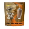 DaVinci Gourmet Double Fudge Mocha Freeze Blended Iced Coffee Mix, 3 lb