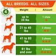 thumbnail image 6 of STRELLALAB Probiotics Chews for Dogs & Digestive Enzymes + Digestion & Gut Health Treats, Probiotics for dogs, Fiber Supplement, Anti Diarrhea, Constipation, Upset Stomach&Gas Relief,Canine Prebiotic, 6 of 6
