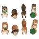 thumbnail image 1 of 8pcs Mini Squirrel Figurines Tiny Animal Statue Moss Micro Landscape Decor, 1 of 3