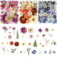 thumbnail image 2 of 110 Pcs Pressed Flowers, Real Dried Flower Leaves for Scrapbooking Crafts DIY Soap Candles Making Nails Decor, 2 of 5