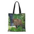thumbnail image 1 of ASHLEIGH Canvas Tote Bag Spots Jaguar Cat Large Wild Cute Fun Reusable Handbag Shoulder Grocery Shopping Bags, 1 of 1