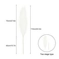 thumbnail image 2 of Lishi Tall Faux Pampas Grass Decor - 110cm Length, 2 of 5