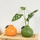 thumbnail image 5 of Jarrón de flores con forma de naranja, adorable maceta de cerámica para escritorio., 5 of 7