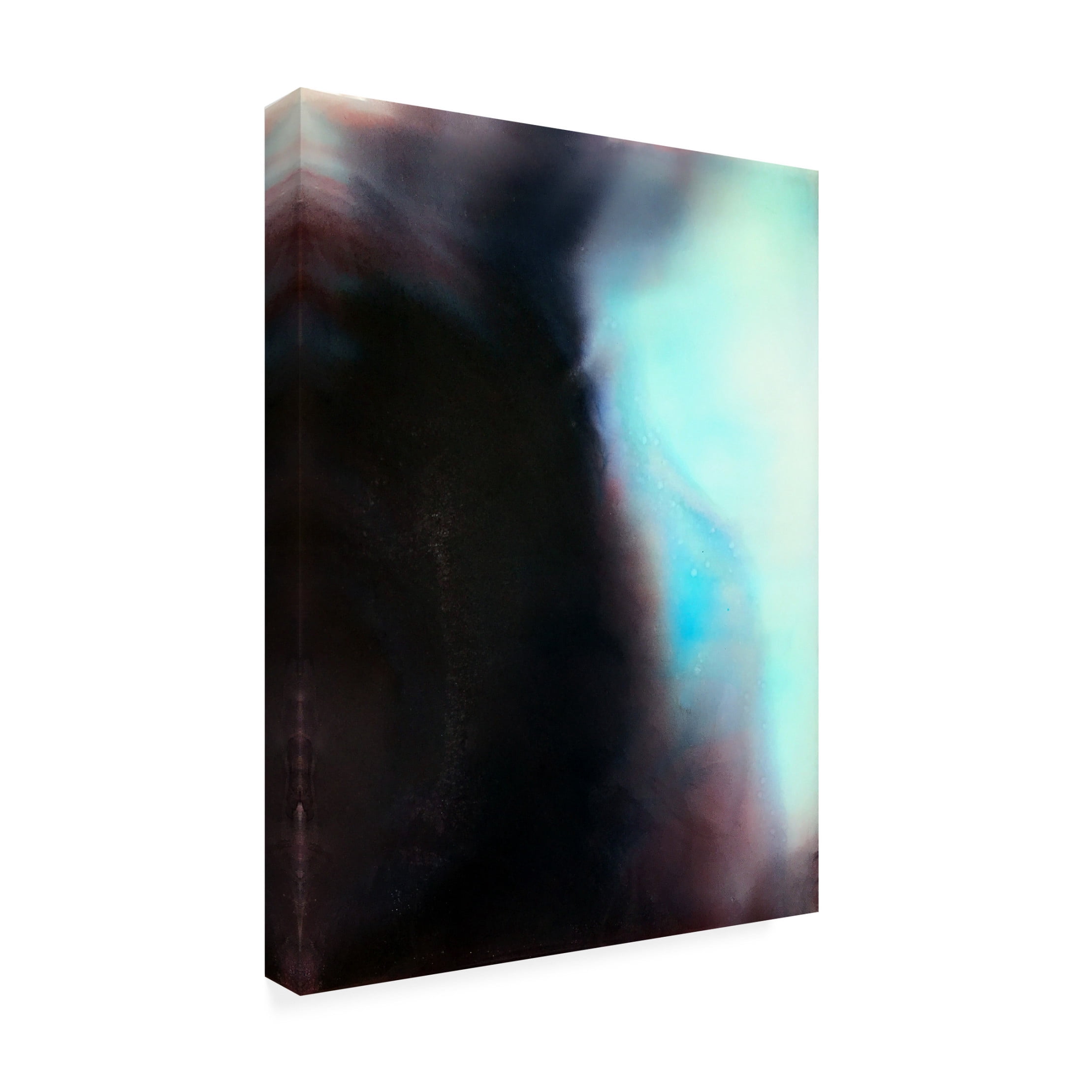 Trademark Fine Art Alyson Storms Exposure Canvas Wall Art