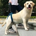 thumbnail image 6 of WE-POLUJ Large Canine Hip Support Slings Supportive Dog Rear Leg Harnesses with Handle, 6 of 18
