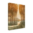 thumbnail image 2 of Trademark Fine Art 'Golden Forest I' Canvas Art by Tim OToole, 2 of 4