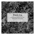 thumbnail image 3 of Little Trees U6P-60155 Black Ice Hanging Air Freshener for Car & Home 12 Pack!, 3 of 5