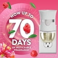 thumbnail image 3 of Air Wick Plug-In Air Freshener Scented Oil Refills,Honeysuckle and Raspberry, 2 Count, 3 of 11