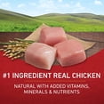 thumbnail image 3 of Purina ONE Chicken and Rice Formula Dry Dog Food - 16.5 lb. Bag (Pack of 4), 3 of 8