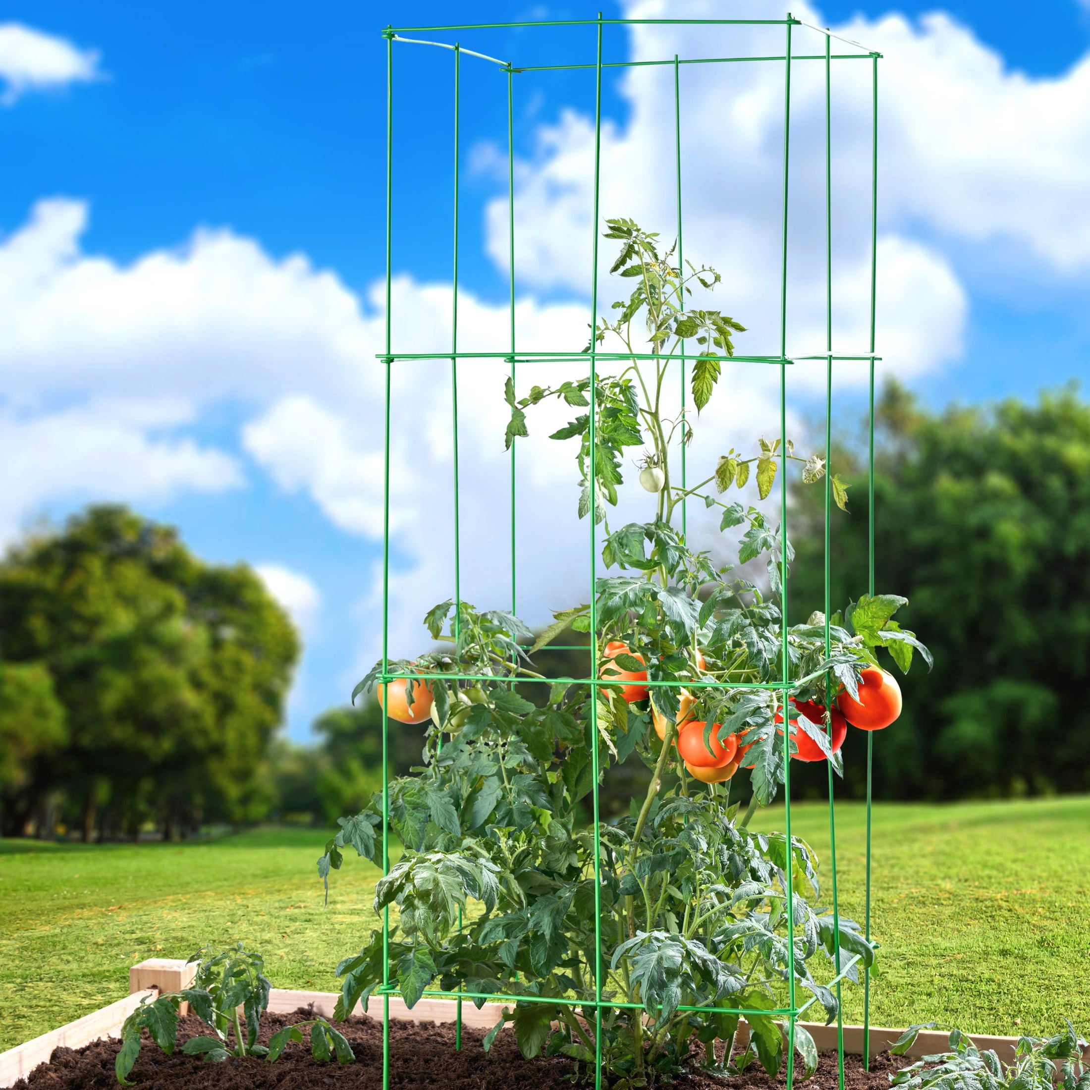 (2 pack) Panacea 47-in 4-Panel Heavy Duty Powder Coated Steel Tomato Tower Light Green Plant Cage