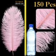 thumbnail image 2 of Plumas de avestruz Berlune, 150 unidades, naturales, 30-35 cm, rosa, 2 of 6
