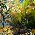 thumbnail image 4 of Dpityserensio Printed,Fish Tank Landscaping Decoration Printing Articulated, 4 of 5