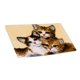 thumbnail image 5 of de de pestillo pa bricoje Fabricación de alfombras pa niños / adultos 31 pulgadas X 19.67 pulgadas, s de pa alfombras d Gato BLESIY Kits de enganche de cierre, 5 of 8