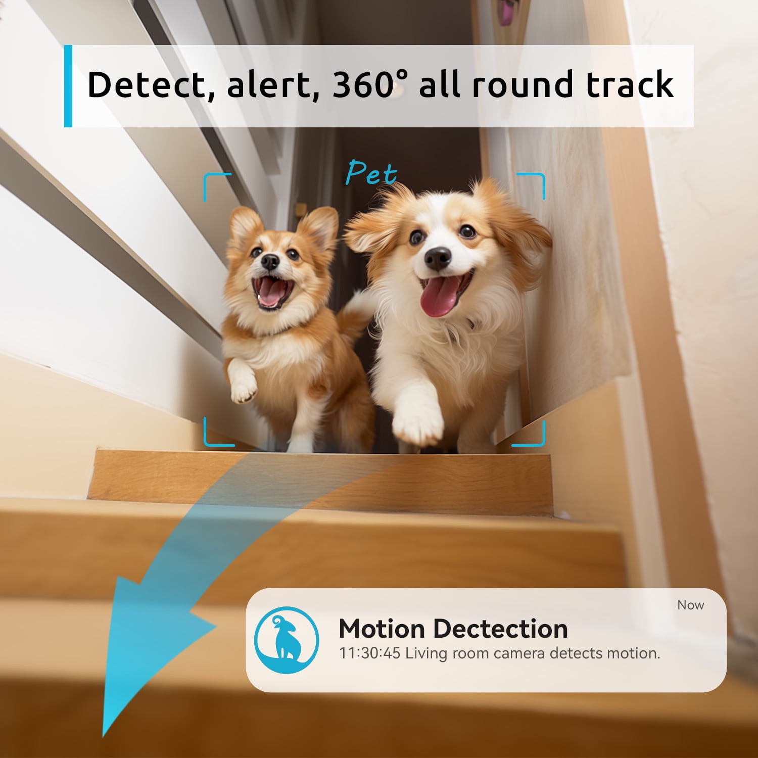 Security Camera 2K, blurams Baby Monitor Dog Camera 360-degree for Home Security w/ Smart Motion Tracking, Phone App, IR Night Vision, Siren, Works with Google Assistant & IFTTT, 2-Way Audio