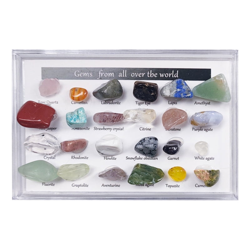 24 Pcs/Set Rock Box Quartz Crystal Natural Mineral Specimen Gemstones Collection 
