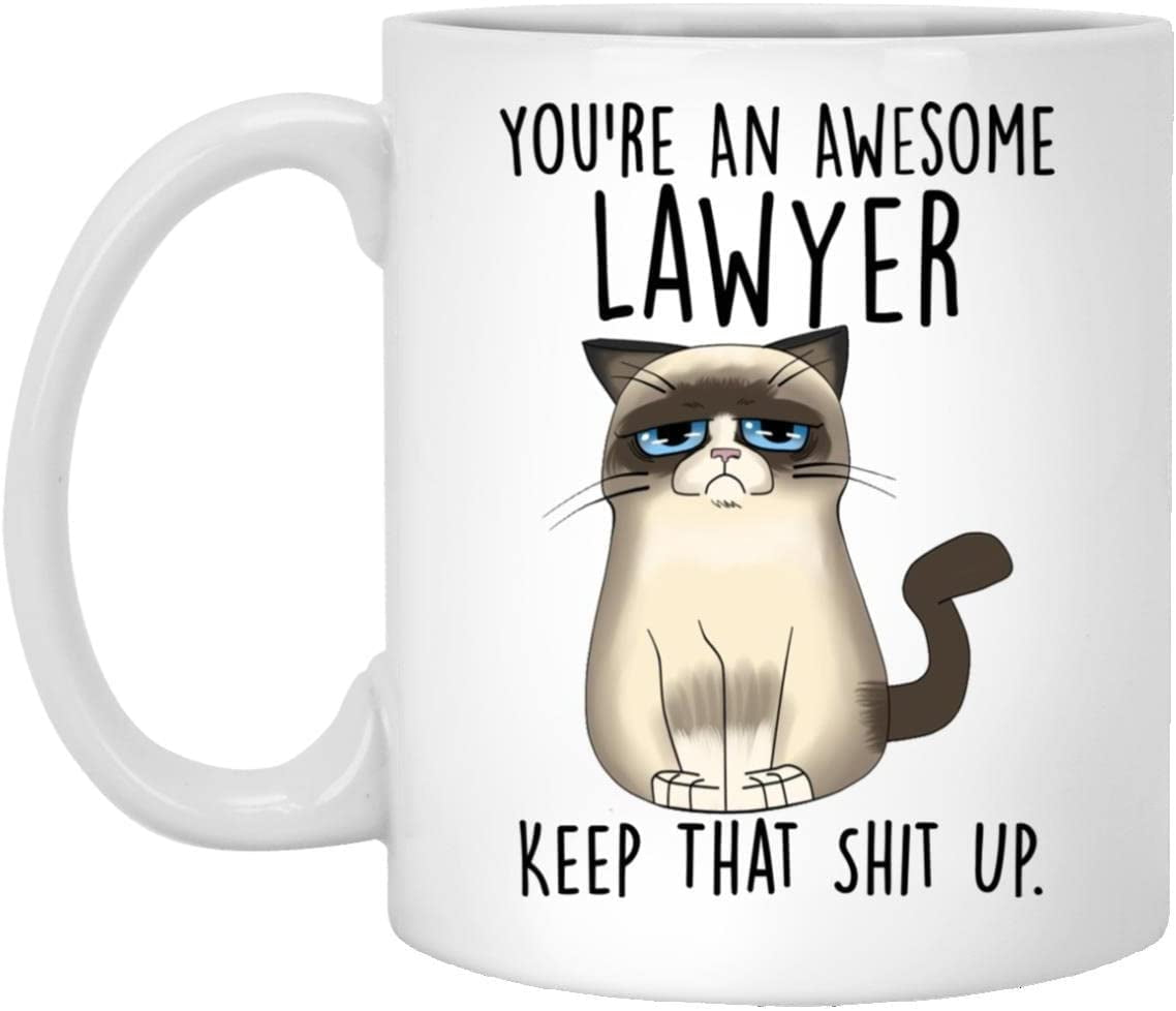 Lawyer Mug, Funny Lawyer Cat Mug, You're An Awesome Lawyer Keep That