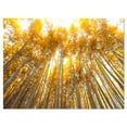 thumbnail image 2 of Autumn Bamboo Grove in Yellow - Oversized Forest Canvas Artwork, 2 of 3