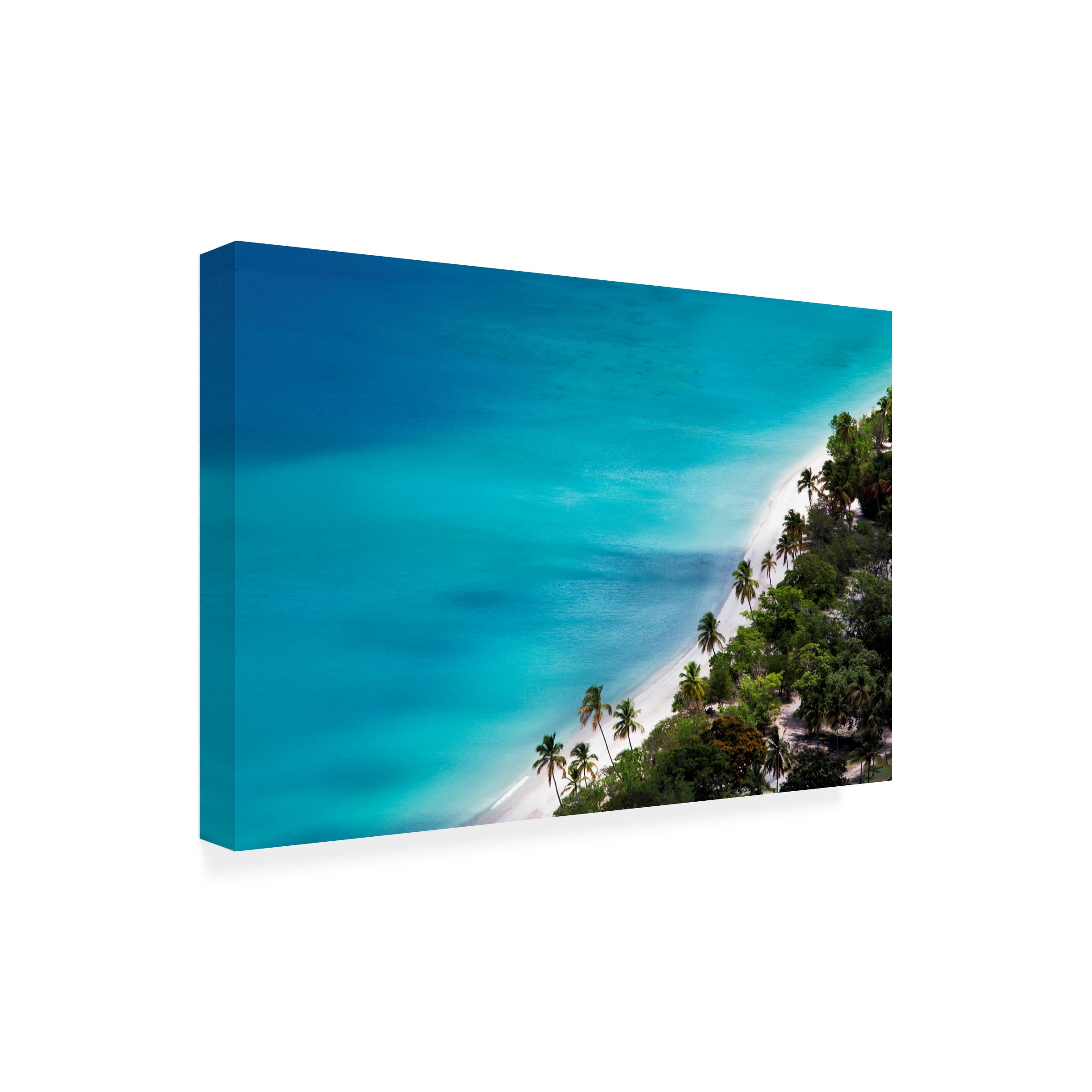 Dennis Frates 'Beach ' Canvas Art