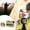 B, variant on Crafted For Enthusiasts Durable Cloth Shooting Sandbag Stabilizer Ensuring Enhanced Shooting Accuracy And Stability With Effective Absorption
