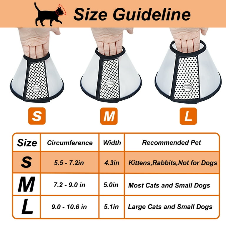 Small cat hot sale cone collar