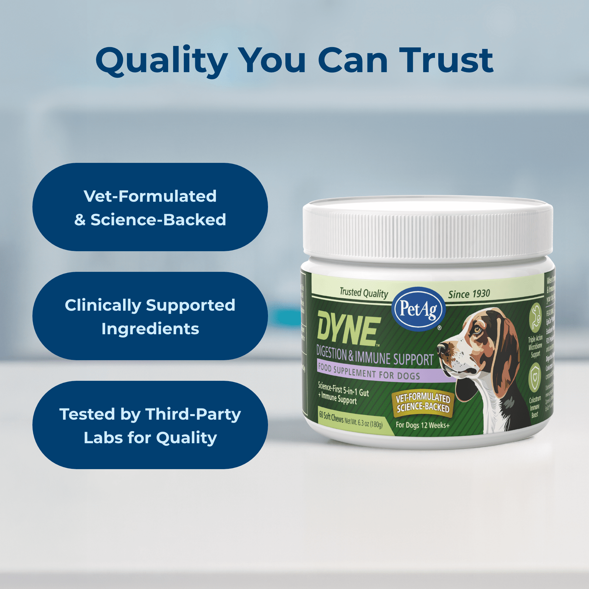 PetAg Dyne Soft Chews, Digestion and Immune Support Supplement - 60 Chicken Liver Flavor Chews
