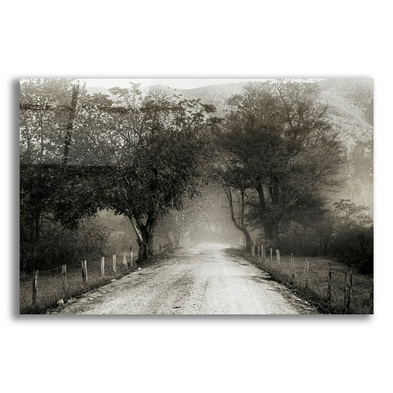 Epic Art 'Sparks Lane' by Nicholas Bell Photography, Acrylic Glass Wall Art, 24"x16"