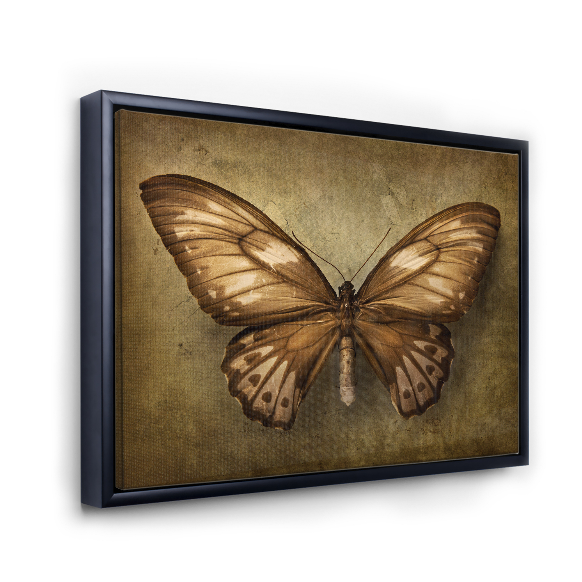 Designart 'Ancient Butterfly In Earth Tones' Vintage Framed Canvas Wall Art Print