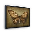 thumbnail image 3 of Designart 'Ancient Butterfly In Earth Tones' Vintage Framed Canvas Wall Art Print, 3 of 5