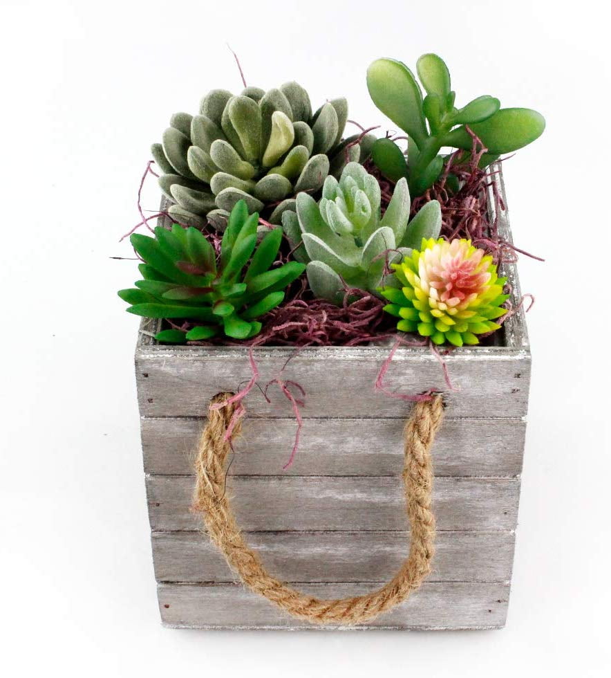 DIY Faux Succulent Planter Kit Artificial Succulents with Moss and