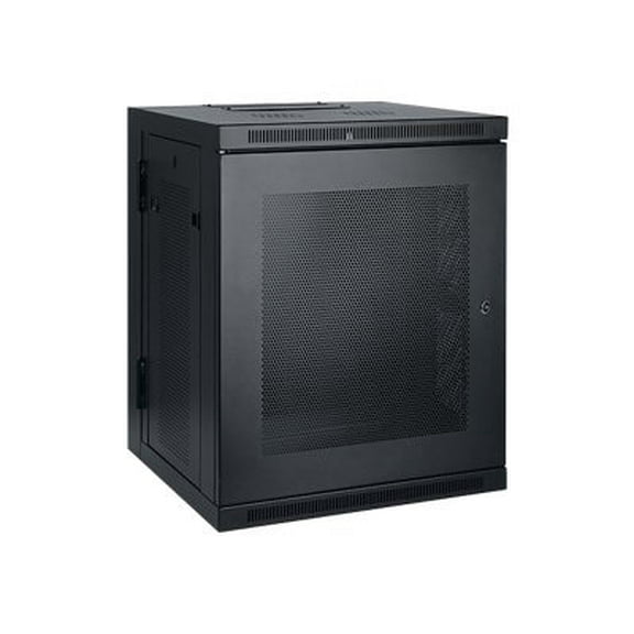 Tripp Lite by Eaton 15U Wall-Mount Rack Enclosure Cabinet, 20.5" Depth, Hinged, Locking, Black