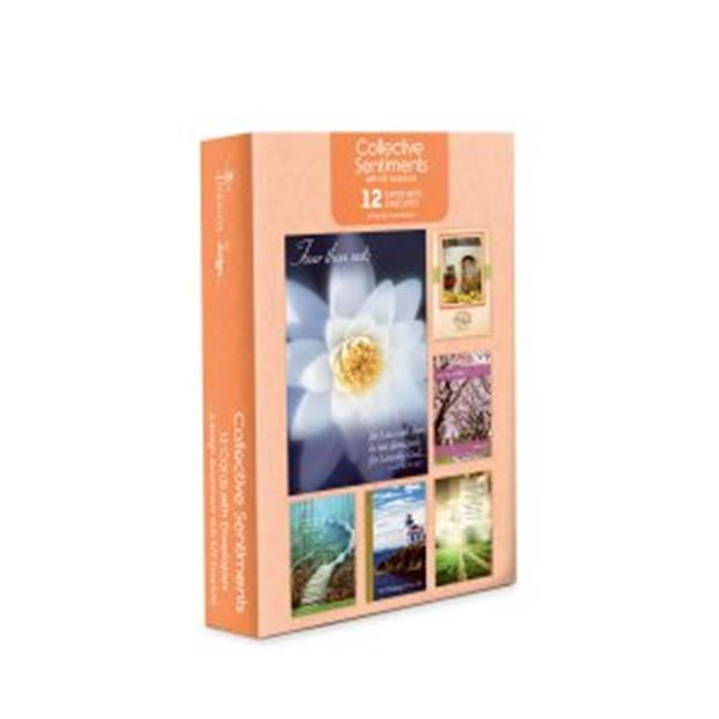International Grtng & Papercraft 152491 Moments to Treasure Collective
