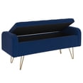 thumbnail image 3 of Modern Velvet & Metal Storage Ottoman/Bench, 3 of 5